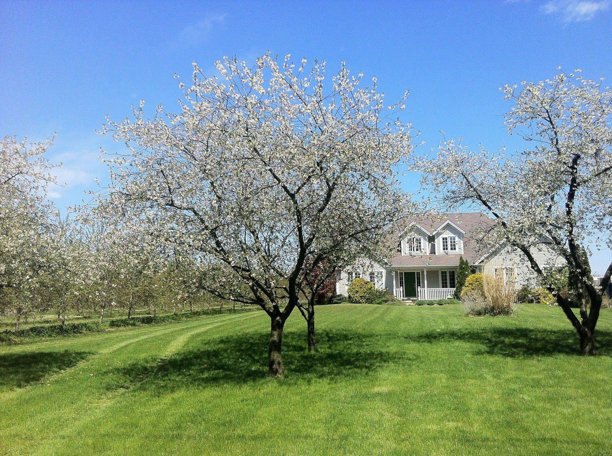 The Orchard Croft Boutique Country Retreat Bed & Breakfast Jordan Exterior photo